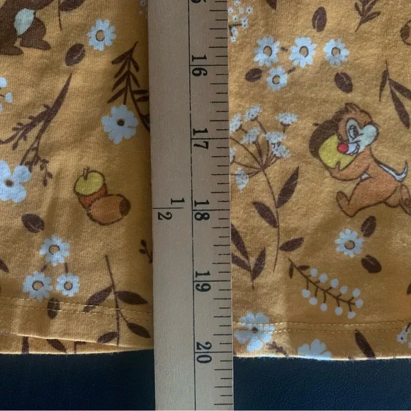 Hot Topic Disney Chip 'N' Dale Fall Floral Suspender Skirt - Picture 10 of 11